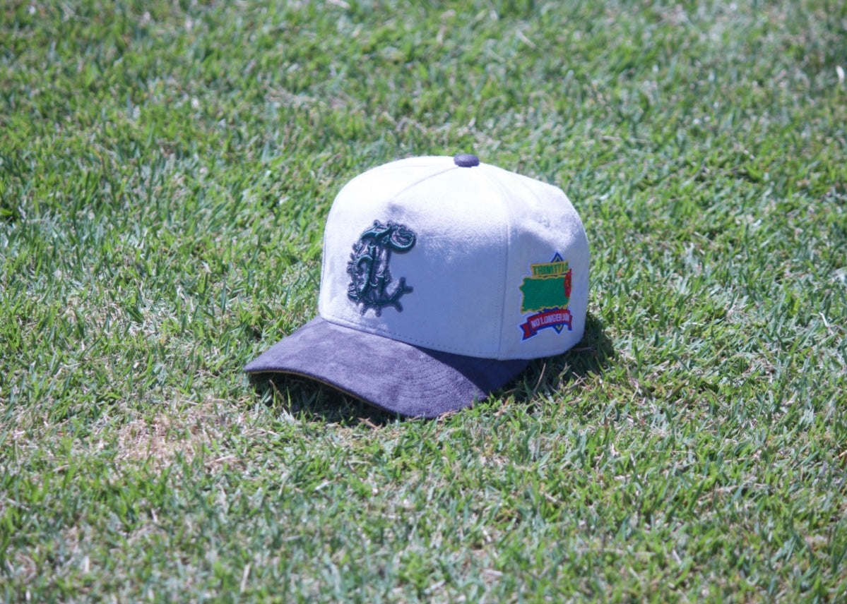 ๐ฎ๐๐๐๐๐ - BONE WHITE CAP