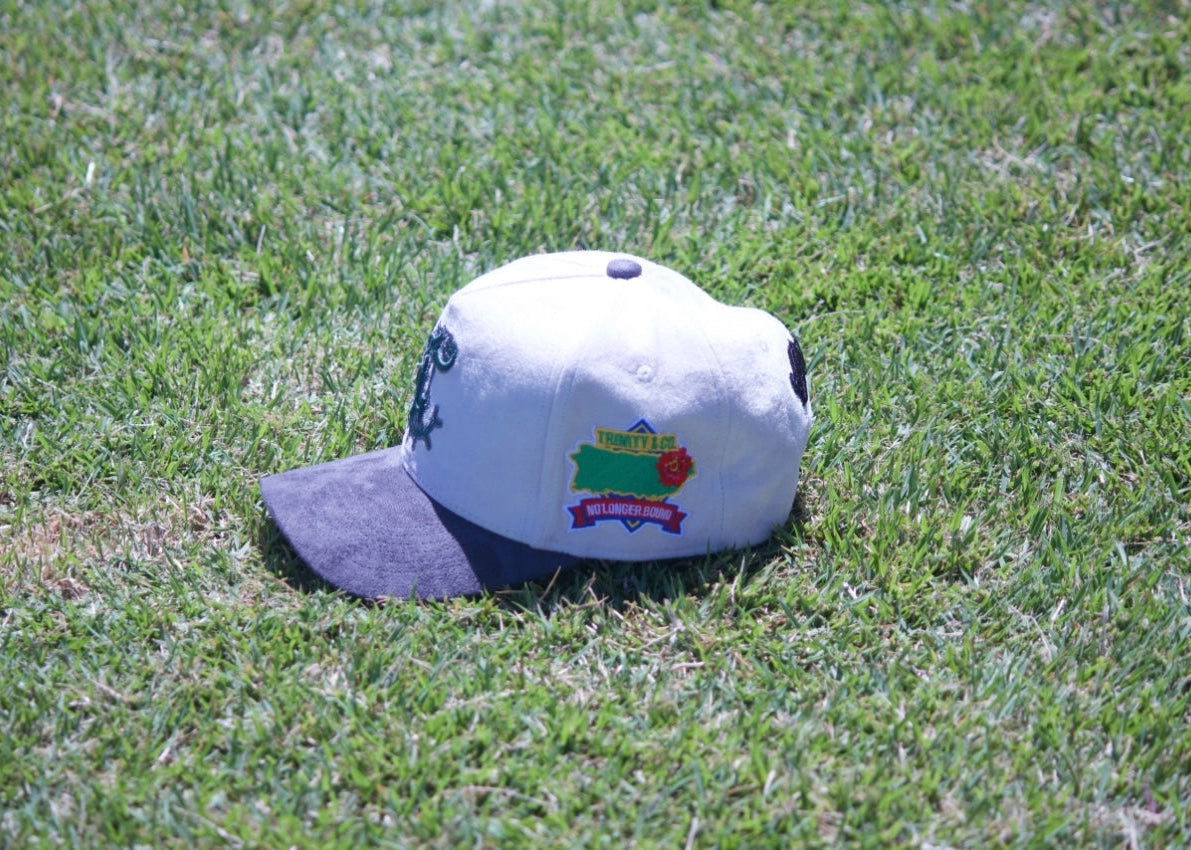 ๐ฎ๐๐๐๐๐ - BONE WHITE CAP