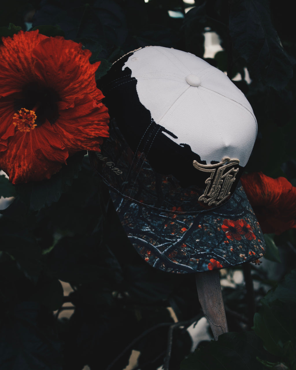 CAMO SPLASH 🫟